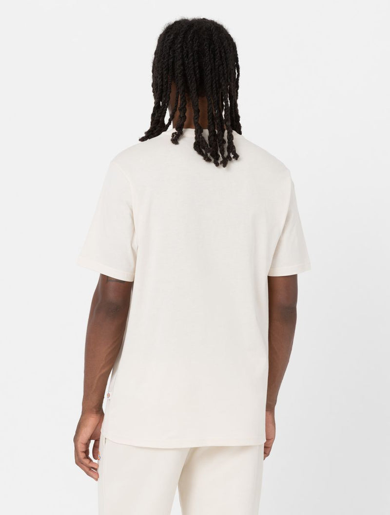 DICKIES SS Mapleton Tee