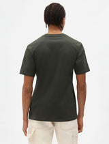 DICKIES SS Mapleton Tee