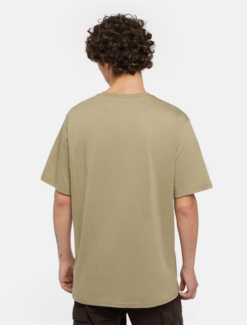 DICKIES SS Mapleton Tee