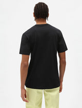 DICKIES SS Mapleton Tee