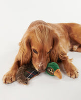 BARBOUR Dog Pheasant Toy