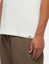 DICKIES Builder Tee SS Cloud